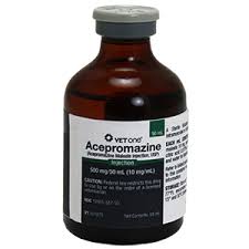 Buy acepromazine-injectable