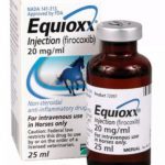 EQUIOXX – 25 ML