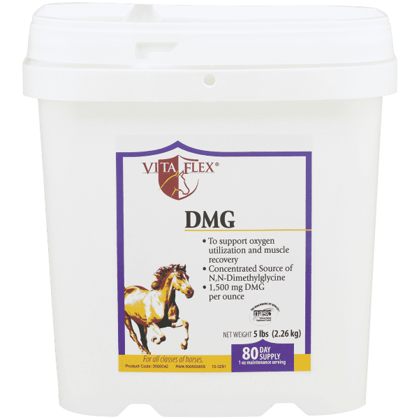 Buy dmg-for-horse