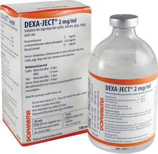 Buy dexa-ject-2-mg-ml-100-ml